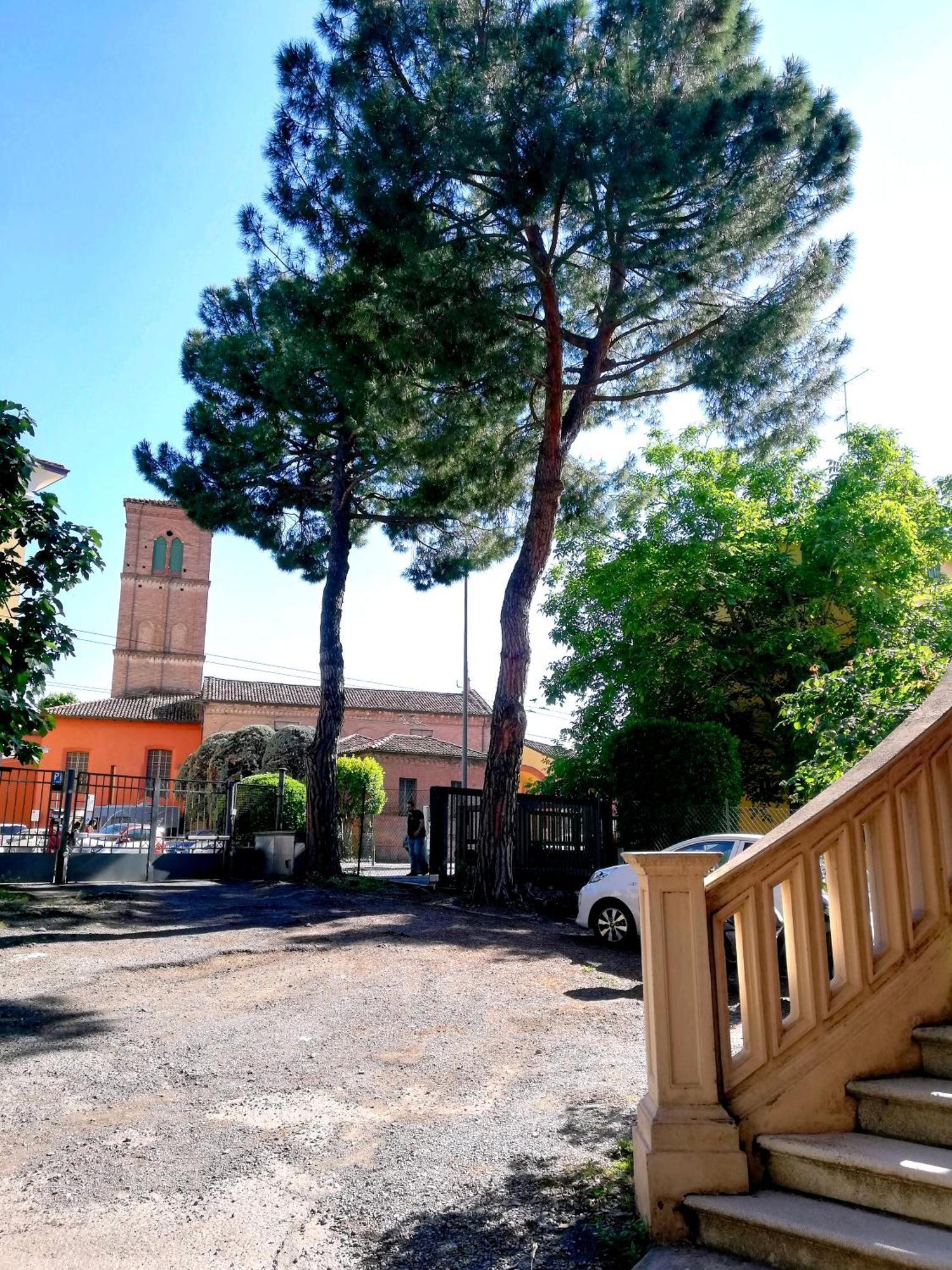 Tupertu Sant'Orsola - Centro Apartment Bologna Ngoại thất bức ảnh